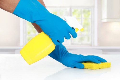 Cleaner preparing a home cleaning service in EN5