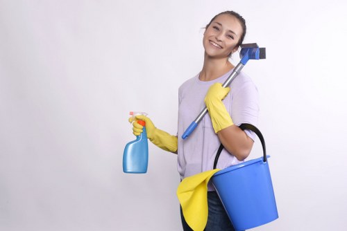 A cleaner maintaining a tidy bathroom during domestic cleaning in EN5
