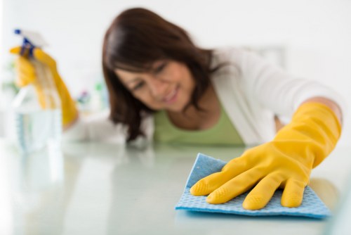 Cleaning options for rugs and upholstered furnishings