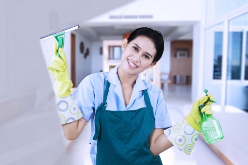 Deep sofa cleaning equipment used in an EN5 property