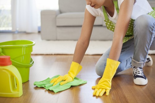 Low-carbon van used for carpet cleaning services